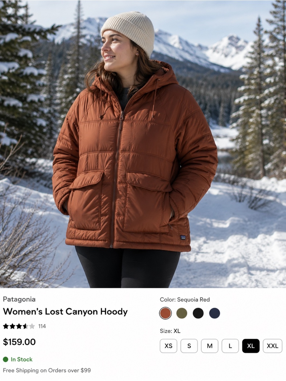 NWT Patagonia Lost Canyon Hoodie Size XL Insulated Hooded Coat Womens